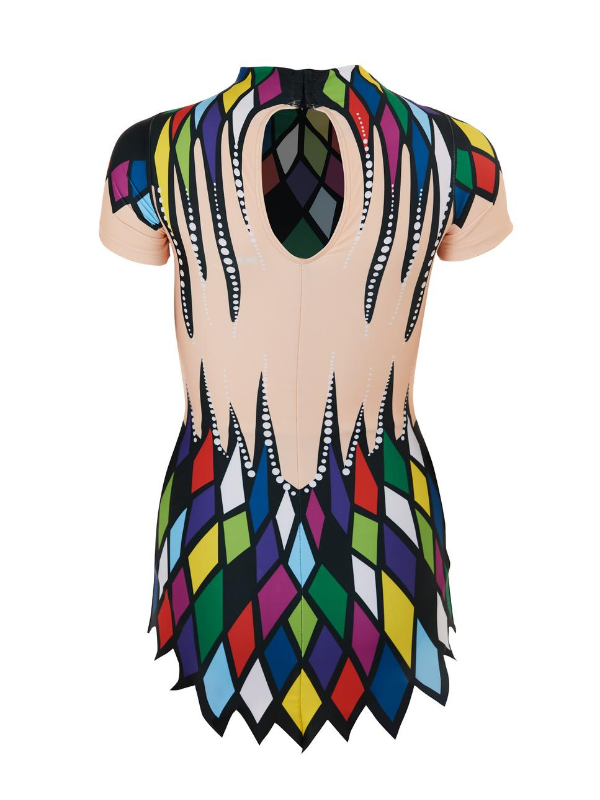 LEOTARD WITH DRESS | TEAM | 401890A300
