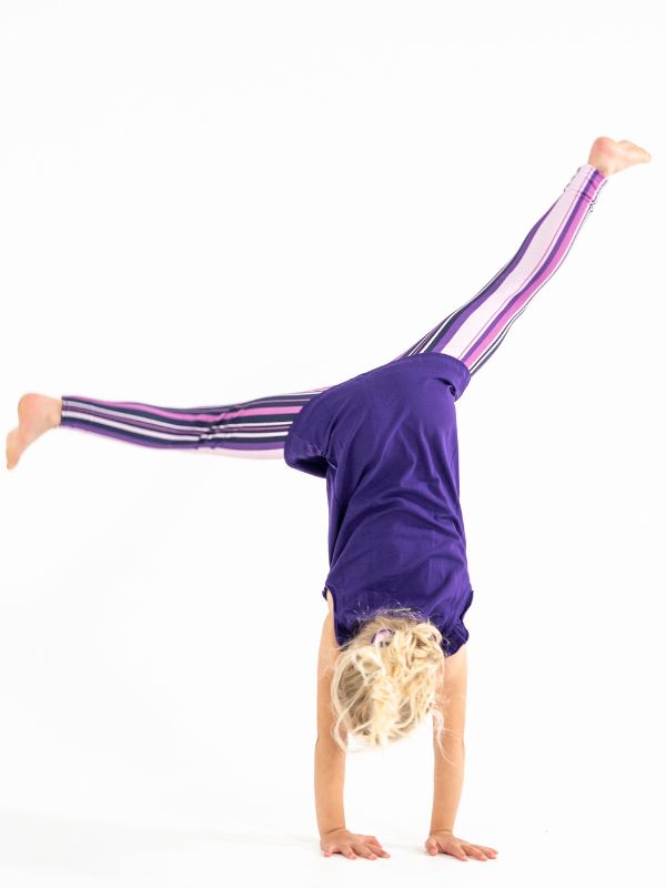 Leggings | NS-142 Purple Stripe