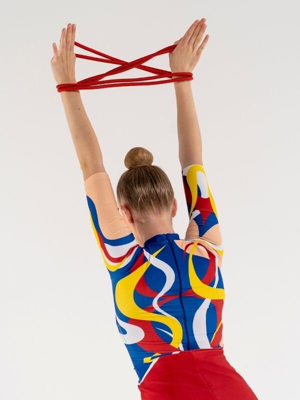 Leotard with dress | Team | 402280A200