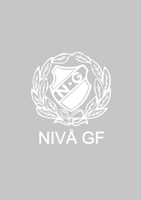 Level logo